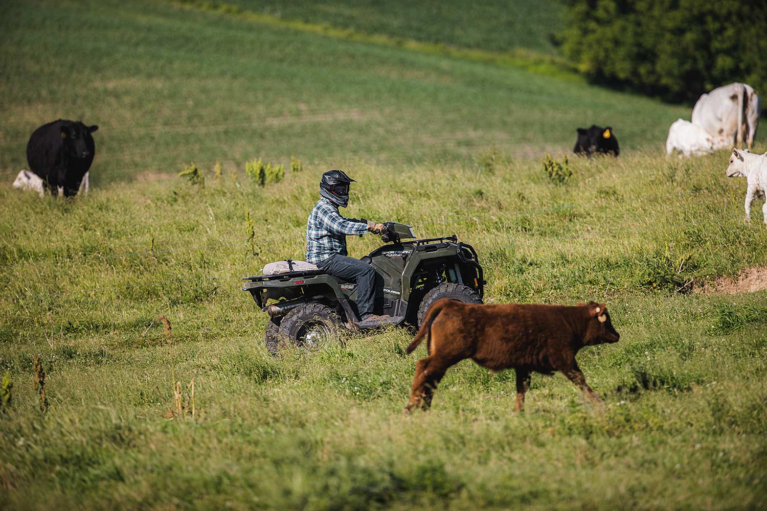 Les quads sont des engins pratiques pour se déplacer dans une exploitation